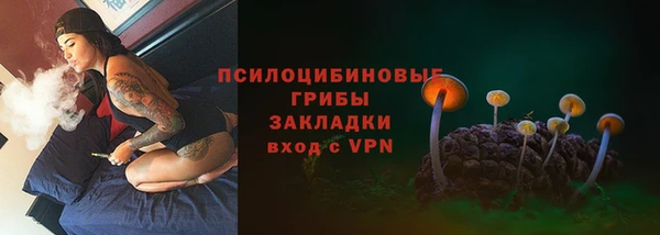 не бодяженный Кукмор