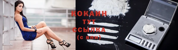 не бодяженный Кукмор