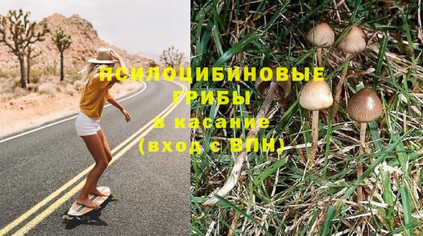 не бодяженный Кукмор