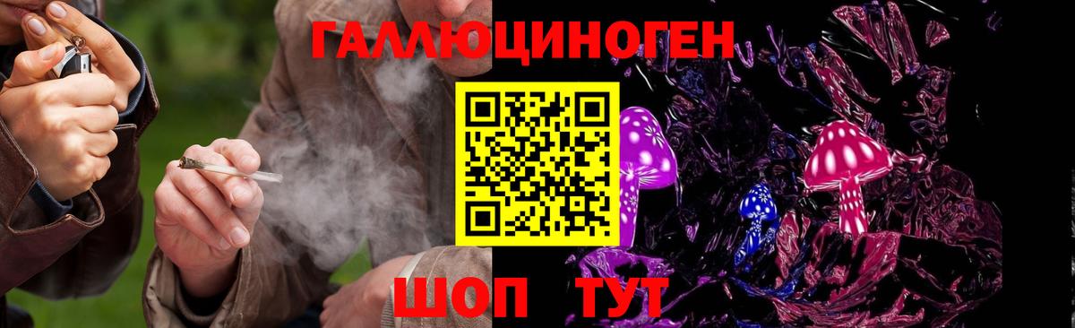 Галлюциногенные грибы ЛСД  Псилоцибиновые грибы ЛСД  Евпатория  Вход с VPN 